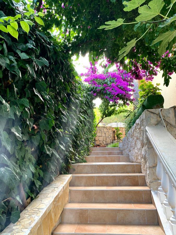 Apartments Villa Ra ซาบอริซ ภายนอก รูปภาพ