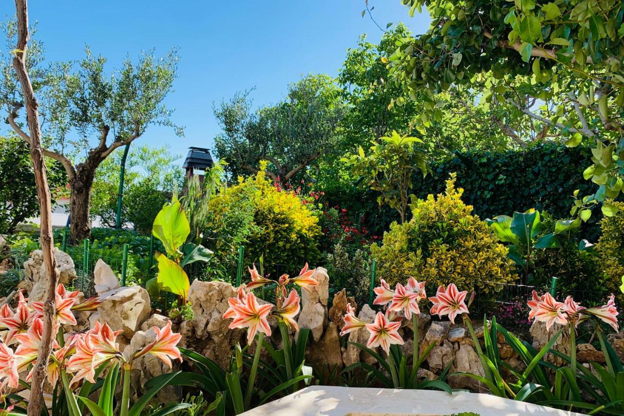 Apartments Villa Ra ซาบอริซ ภายนอก รูปภาพ